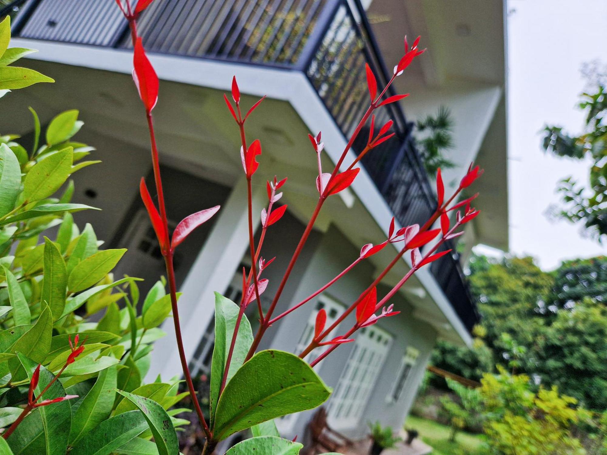 Villa Sole Kandy Exterior foto